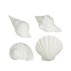 White Decorative Shells (14 cm) - Each At