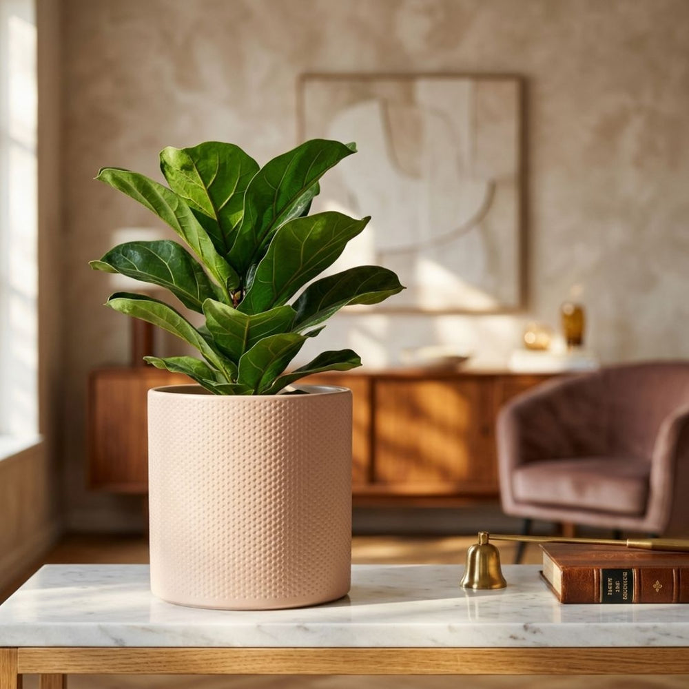 Era Round Matte Pink Relief Planter (17.5 cm)