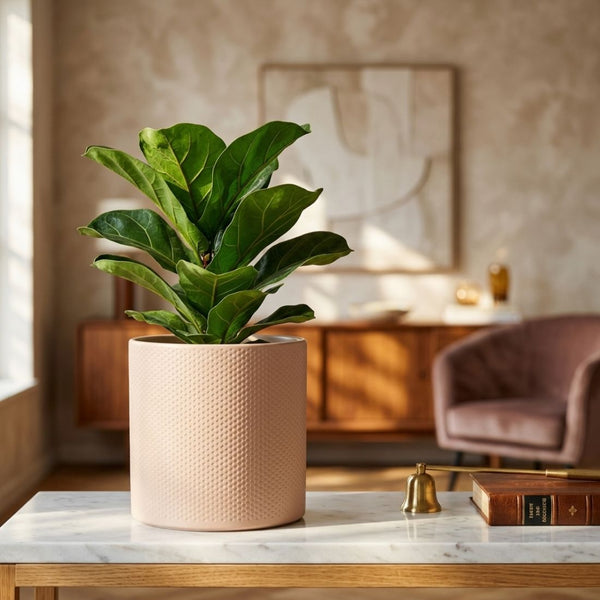 Era Round Matte Pink Relief Planter (17.5 cm)