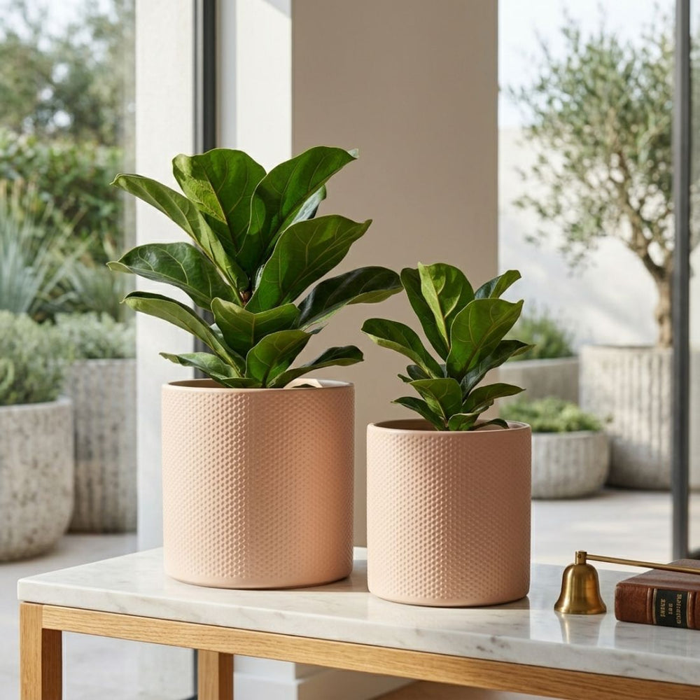 Era Round Matte Pink Relief Planter (19.5 cm)