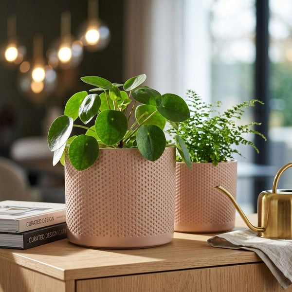 Era Round Matte Pink Relief Planter (23 cm)