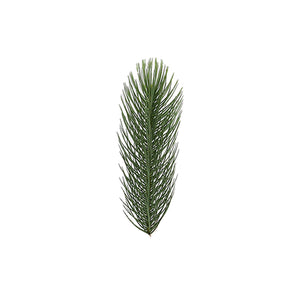 Decoration Twig (91cm)