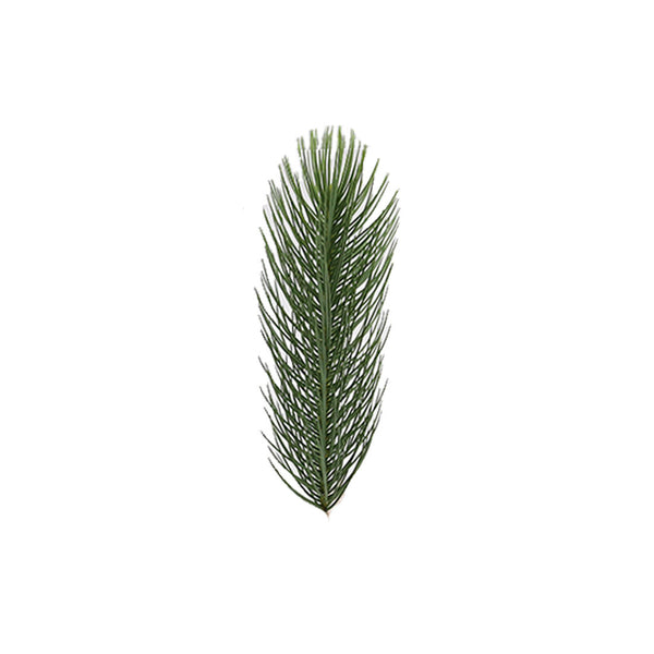 Decoration Twig (91cm)