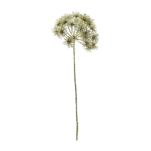 Platinum Allium (67cm)