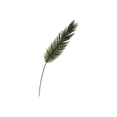 Cycas Palm Spray (70 cm)