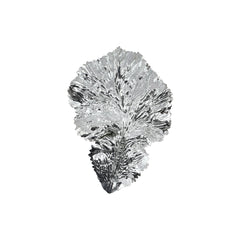 Silver Fig Leaf (19cm)
