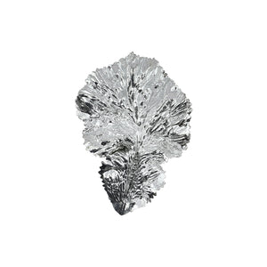 Silver Fig Leaf (19cm)