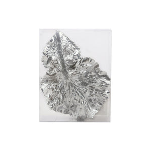 Silver Fig Leaf (19cm)