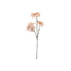 Poinsettia (45cm)