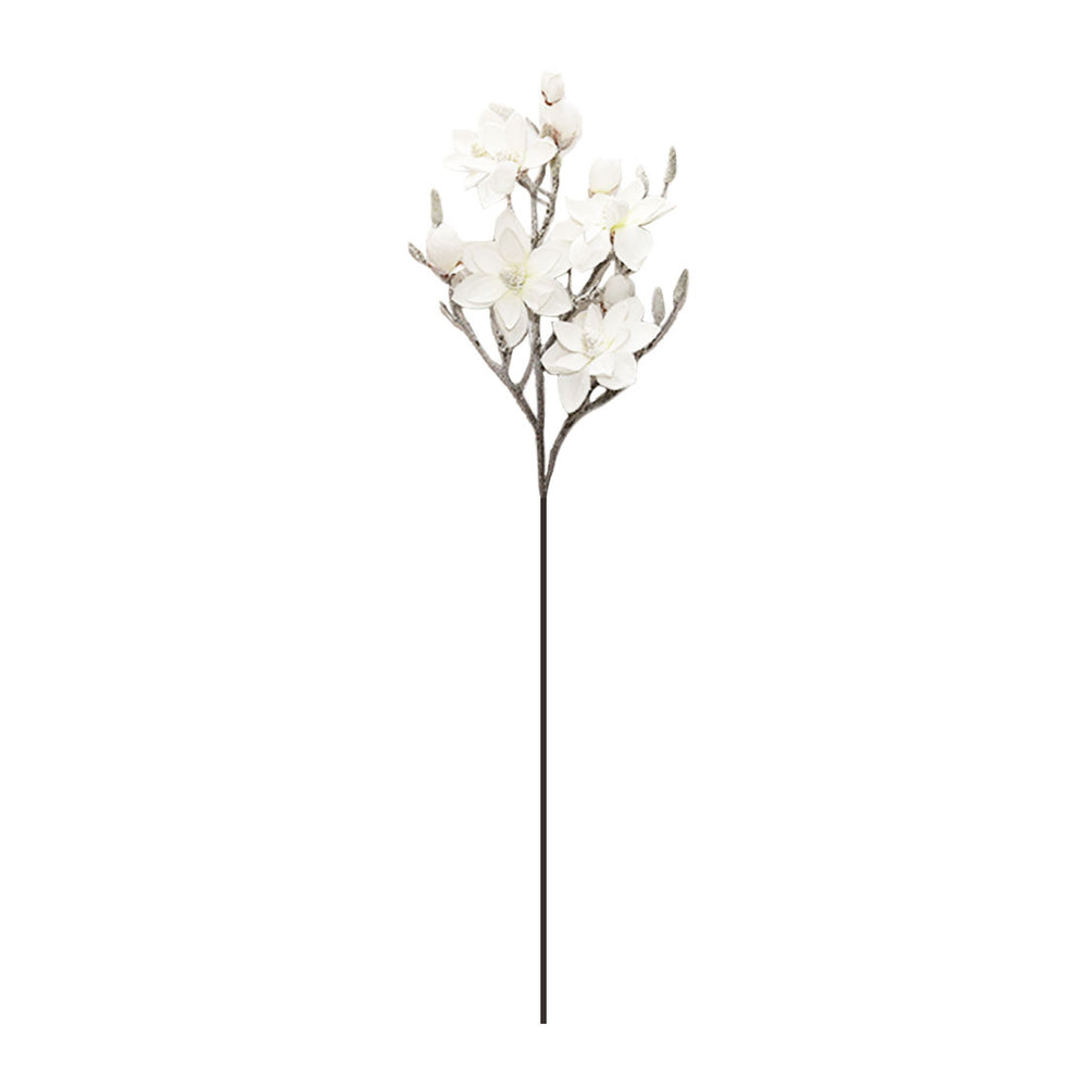 Magnolia Branch (115cm)