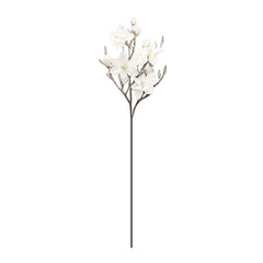 Magnolia Branch (115cm)