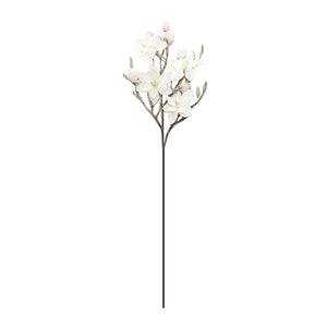 Magnolia Branch (115cm)