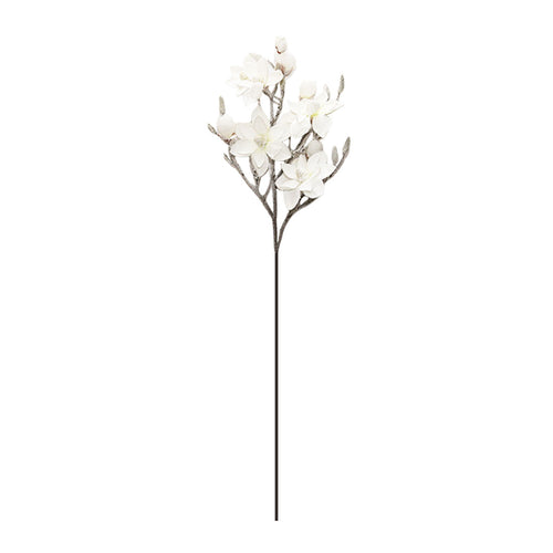 Magnolia Branch (115cm)