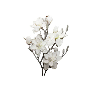Magnolia Branch (115cm)