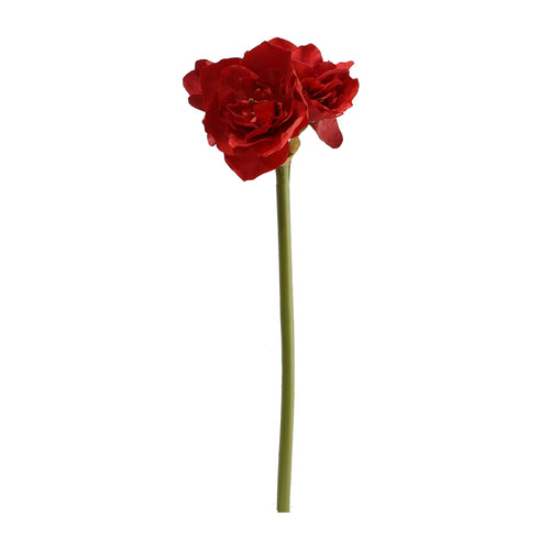 Amaryllis 4 Flowers (80 cm)