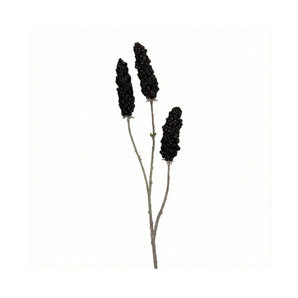 Black Vinegar Branch Fruiting Spike (102 cm)