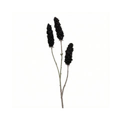 Black Vinegar Branch Fruiting Spike (102 cm)