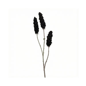 Black Vinegar Branch Fruiting Spike (102 cm)