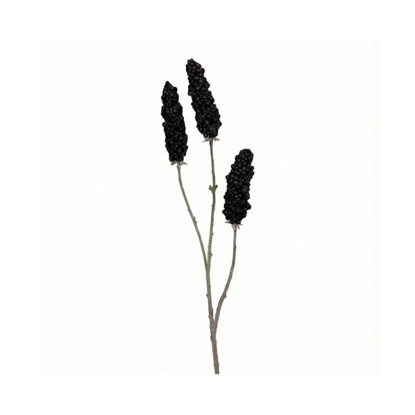 Black Vinegar Branch Fruiting Spike (102 cm)