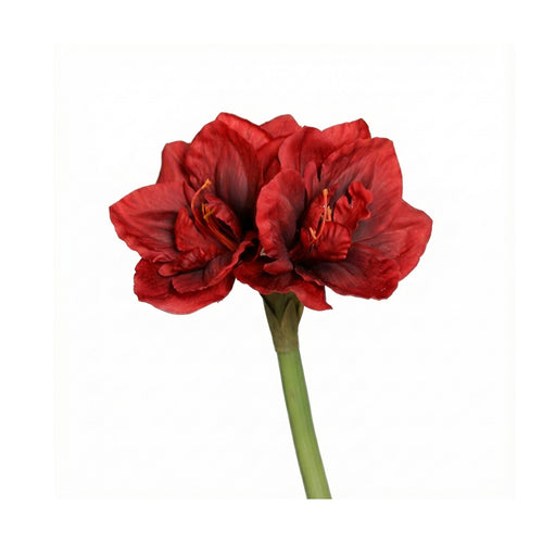Red Real Touch Amaryllis (61 cm)