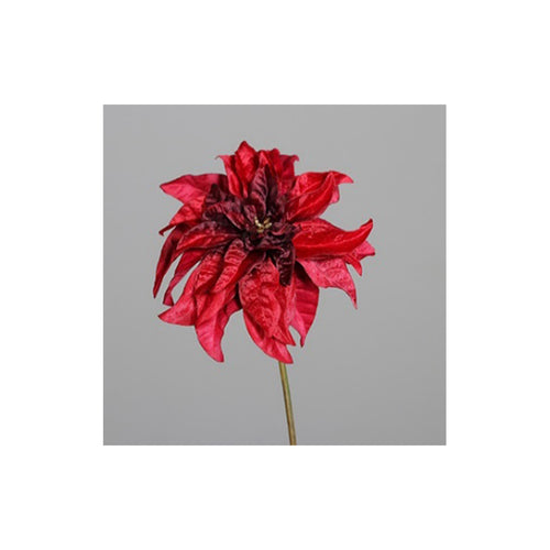 Poinsettia, velvet, 57 cm, red, 24/96