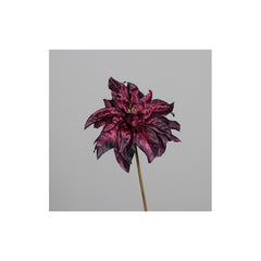 Poinsettia, velvet, 57 cm, aubergine, 24/96