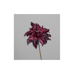 Poinsettia, velvet, 57 cm, aubergine, 24/96