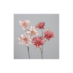 Poinsettia with two flowers, two colors assorted, price per stem, 86 cm, 16/64