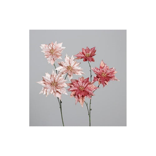 Poinsettia with two flowers, two colors assorted, price per stem, 86 cm, 16/64
