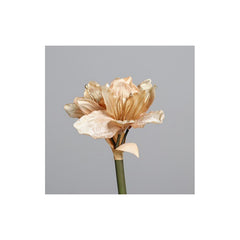 Amaryllis with four flowers, gold, 16/128