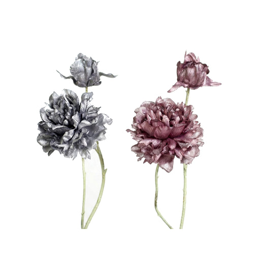 Assorted Peony With Open Bud (61 cm) Each At
