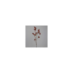 Blackberry branch, 105 cm, 12/48