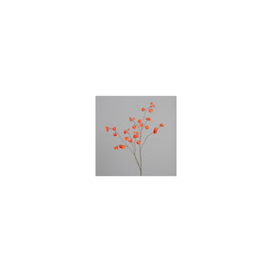 Physalis branch, 123 cm, 12/48