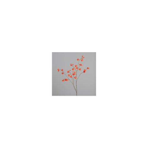 Physalis branch, 123 cm, 12/48