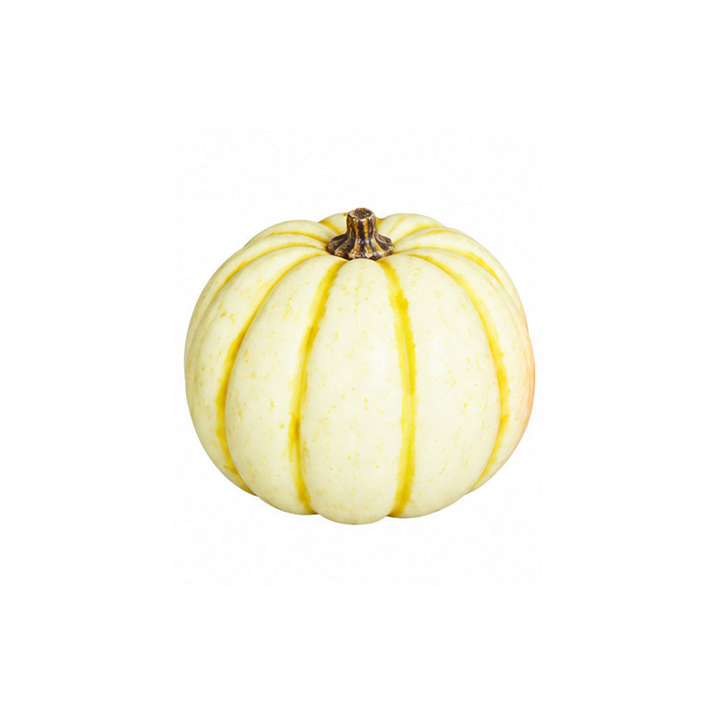 Pumpkin, 8-10 cm, 24/216
