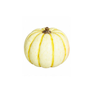 Pumpkin, 8-10 cm, 24/216
