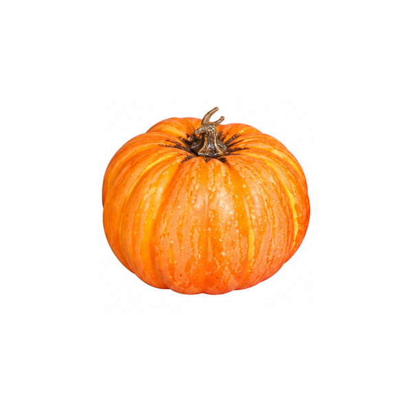 Pumpkin, 8-10 cm, 24/216