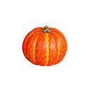 Pumpkin, 8-10 cm, 24/216