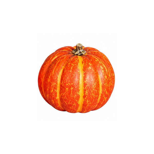 Pumpkin, 8-10 cm, 24/216