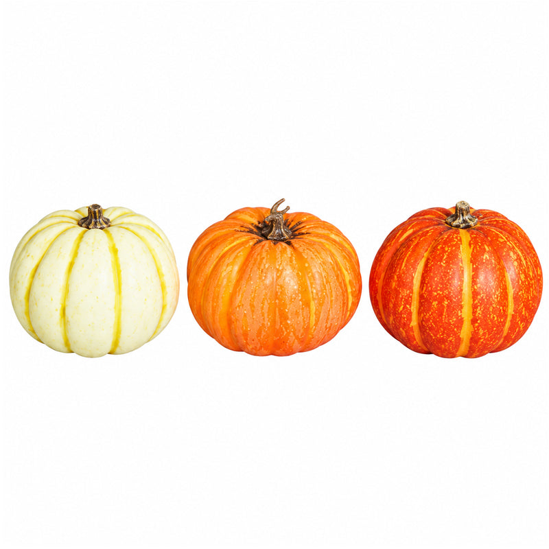 Pumpkin, 8-10 cm, 24/216