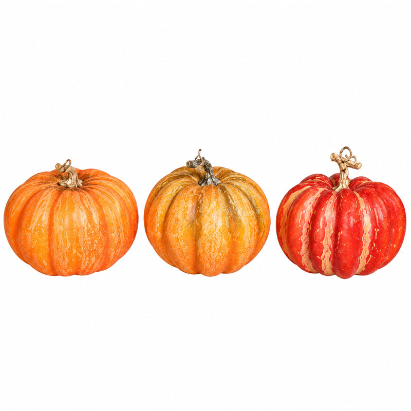 Pumpkin, 12-16 cm, 12/96