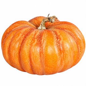 Pumpkin, 24x18 cm, 18 cm, 6/36