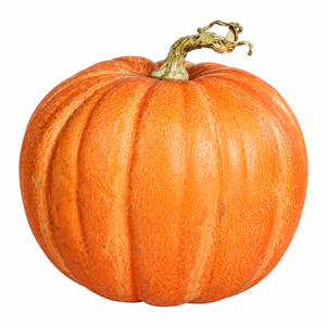 Pumpkin, 21x22 cm, 22 cm, 6/36