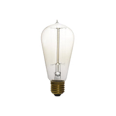 Clear Dimmable Bulb 25W