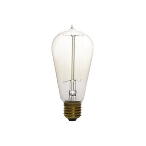 Clear Dimmable Bulb 25W