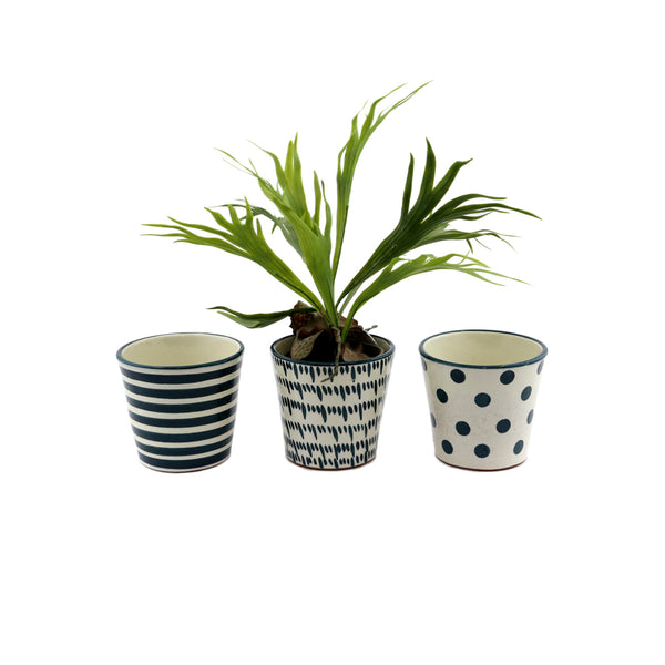White And Green Pot 3 Colours (14 cm)