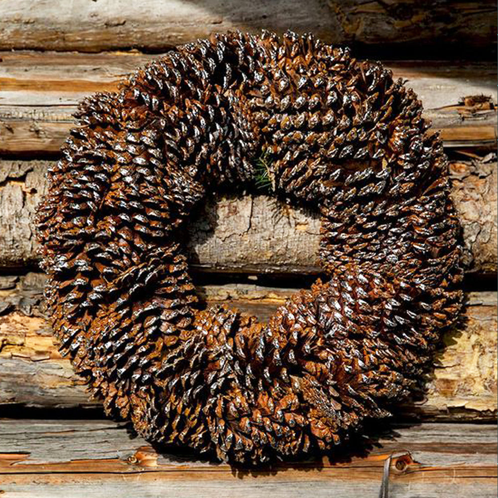 RM Precious pinecone wreath 38cm