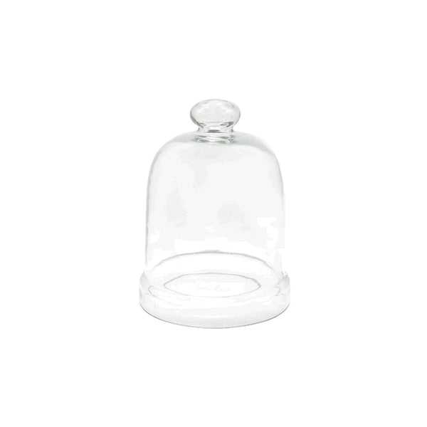 RM Glass Dome (22.60 cm)