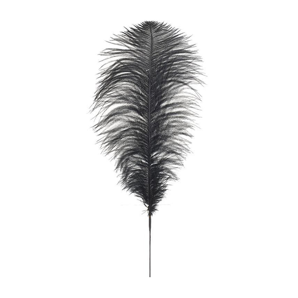 Black Feather (120 cm)