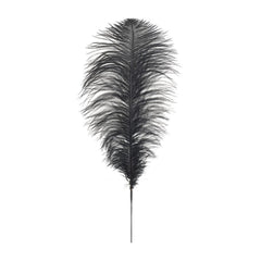 Black Feather (120 cm)